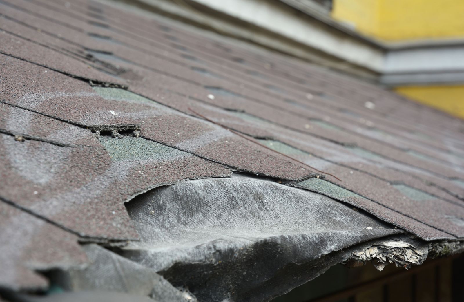 Knock On Wood Roofing & Construction Images