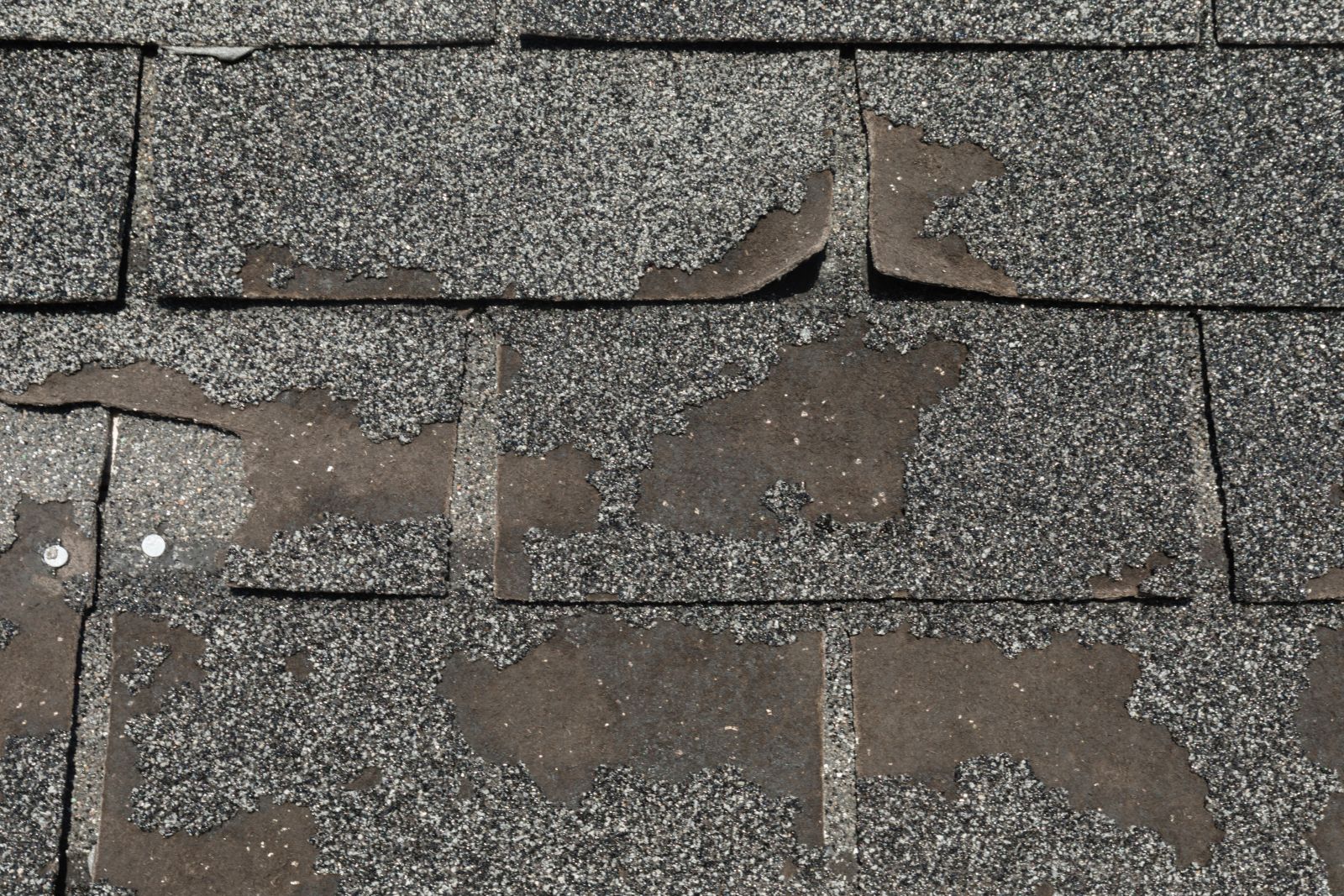 Knock On Wood Roofing & Construction Images